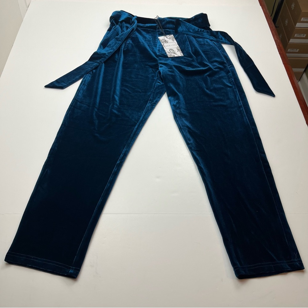 Sage‎ + Fig Velvet Teal Blue Green Womens Size Small Pant Pockets Belted NEW